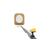 Evident Vanta XRF Windows