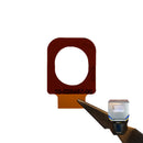 Olympus Vanta GX XRF Windows PN Q0204129 10-026487-10