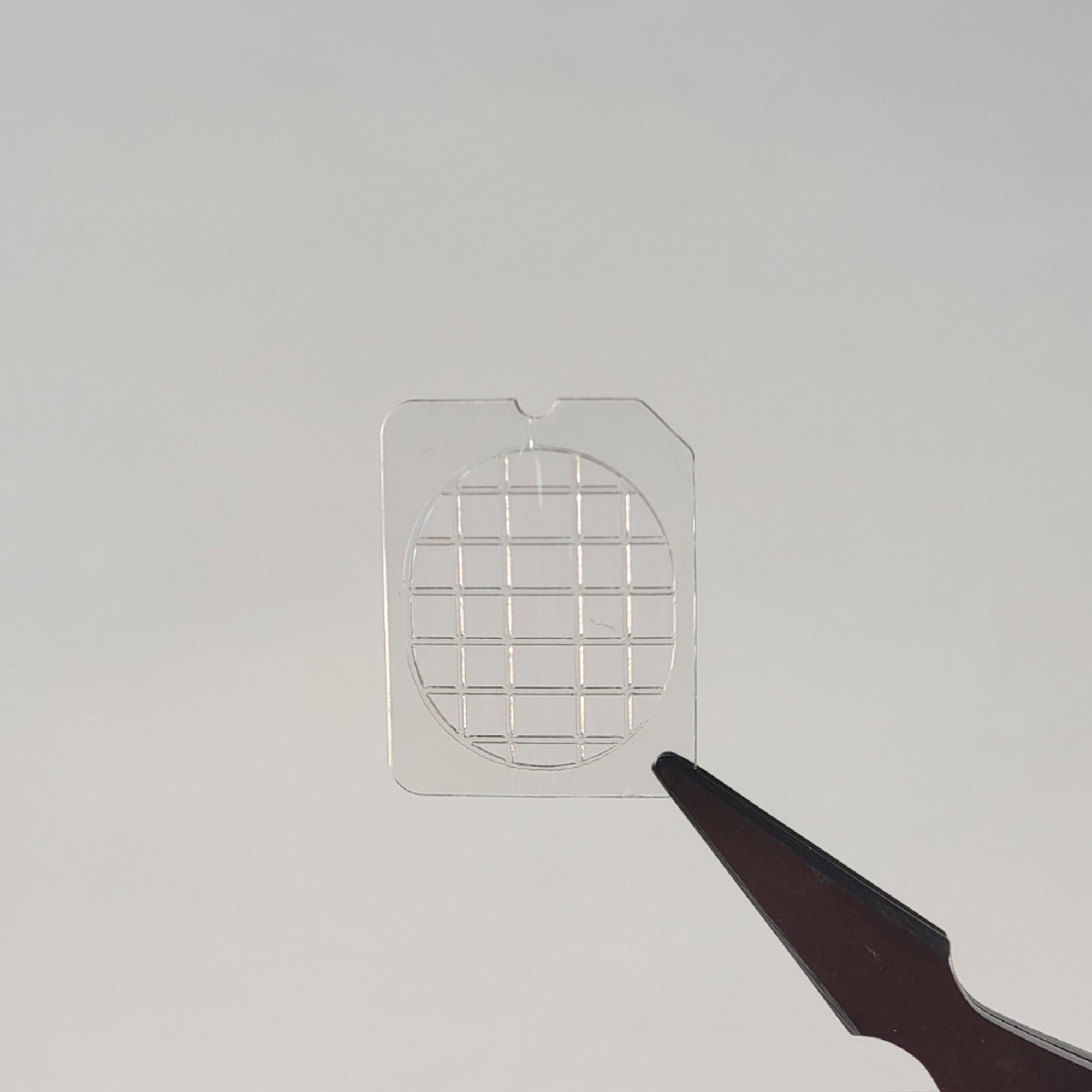 Authentic Hitachi X-MET8000 Shield Windows 5 Pack Part Number 10001037